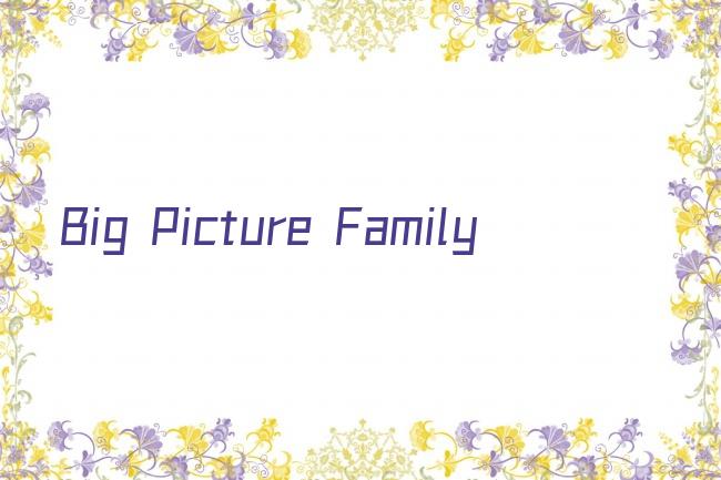 Big Picture Family剧照